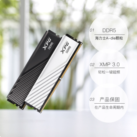 威刚威龙D300G DDR5 6000/6400 16/32/64G台式电脑内存条